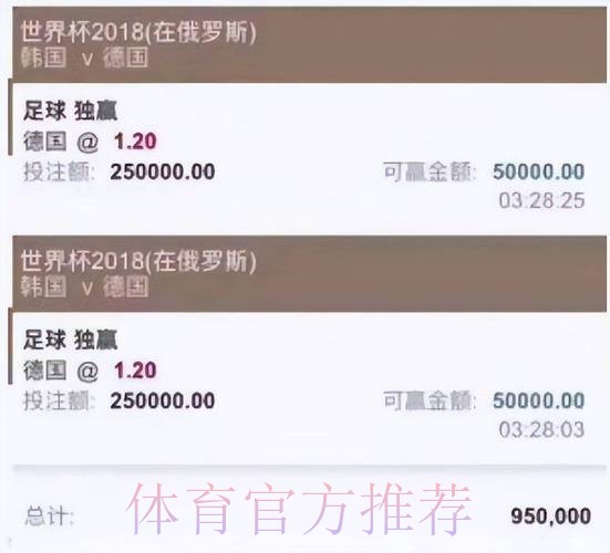 世界杯投注安全指南：精选优质平台
